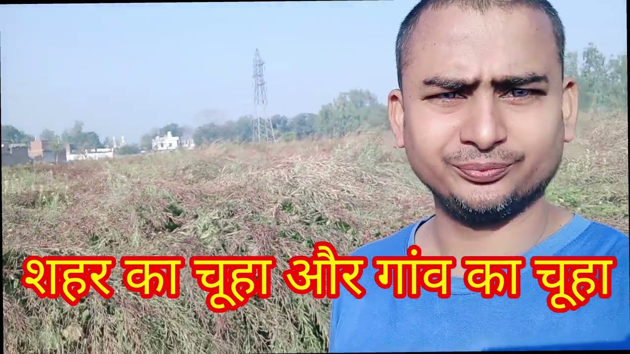 शहरी चूहा और गांव का चूहा🐀🙀🐁