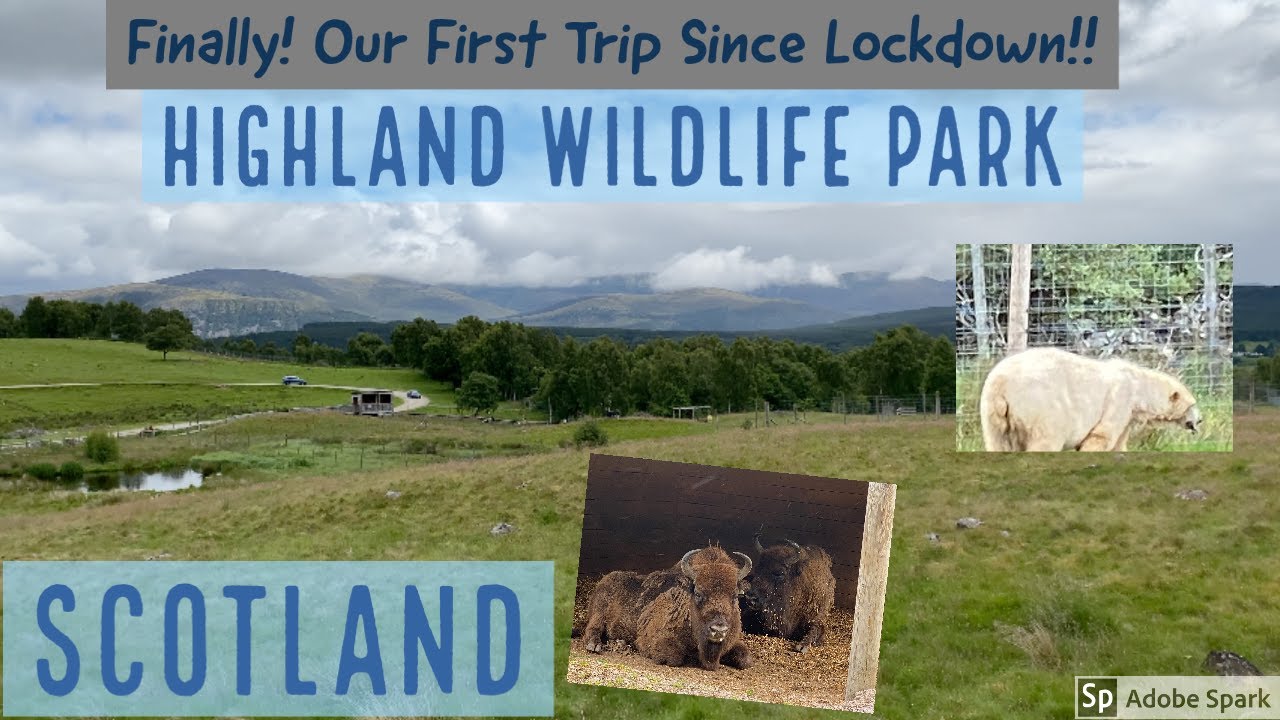 Highland Wildlife Park - First Trip Out of LOCKDOWN!
