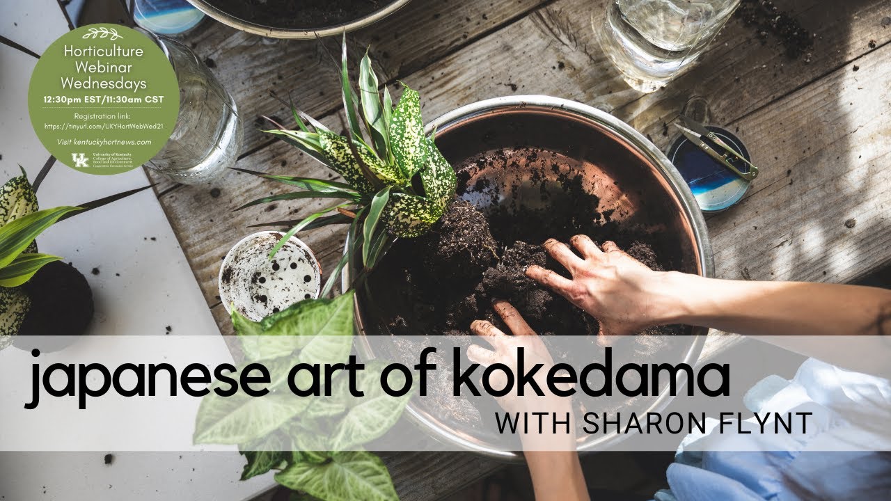 Japanese Art of Kokedama