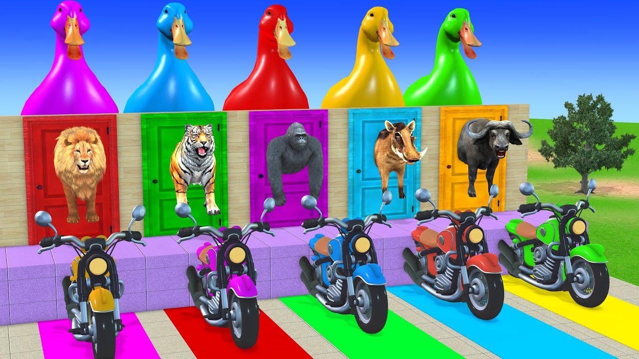 Long Slide Game With Cow Elephant Gorilla Hippopotamus Tiger 3d Animal Game Funny 3d Animals