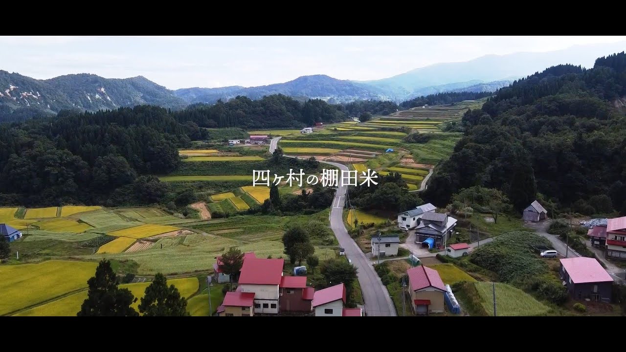ジモト大学～大蔵村講座～高校生が撮影！「四ヶ村の棚田米」