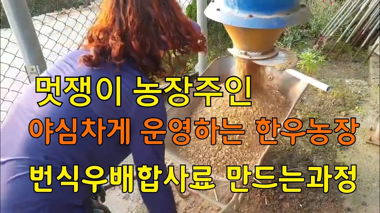 번식우배합사료만들기/세진TMR번식우전용배합기