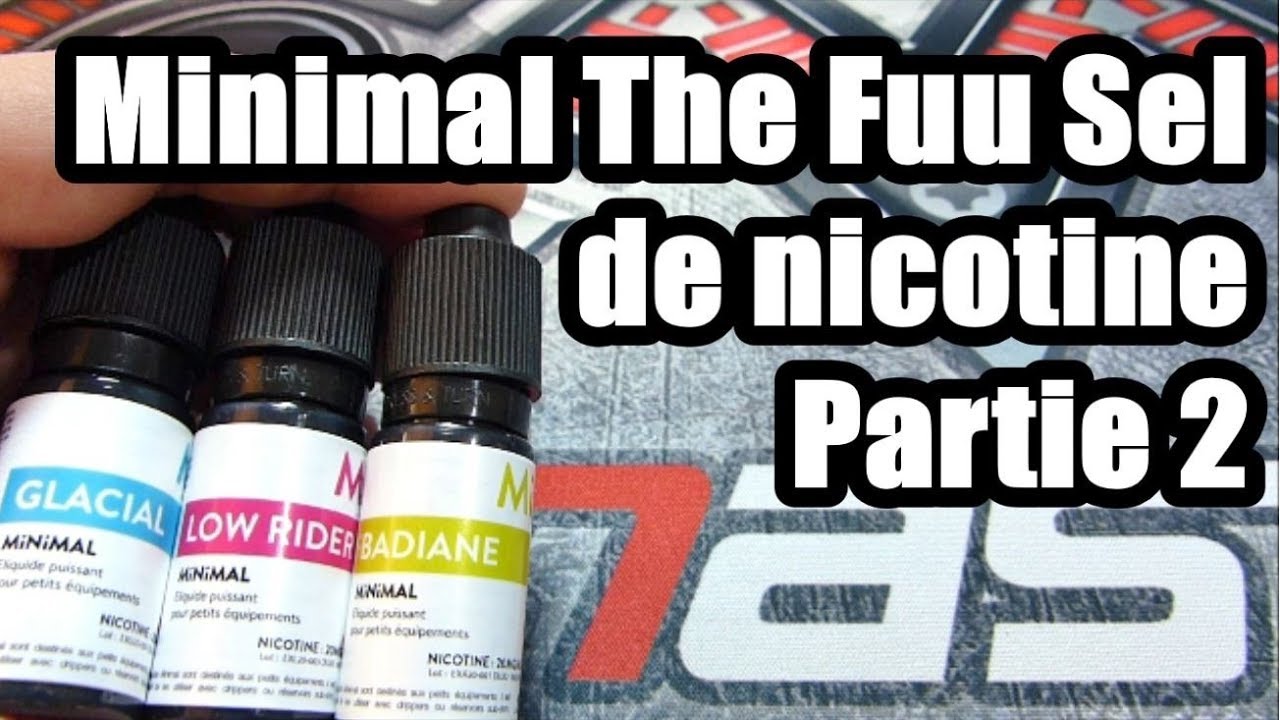 Sel de Nicotine : Minimal - The Fuu ( PARTIE 2 )