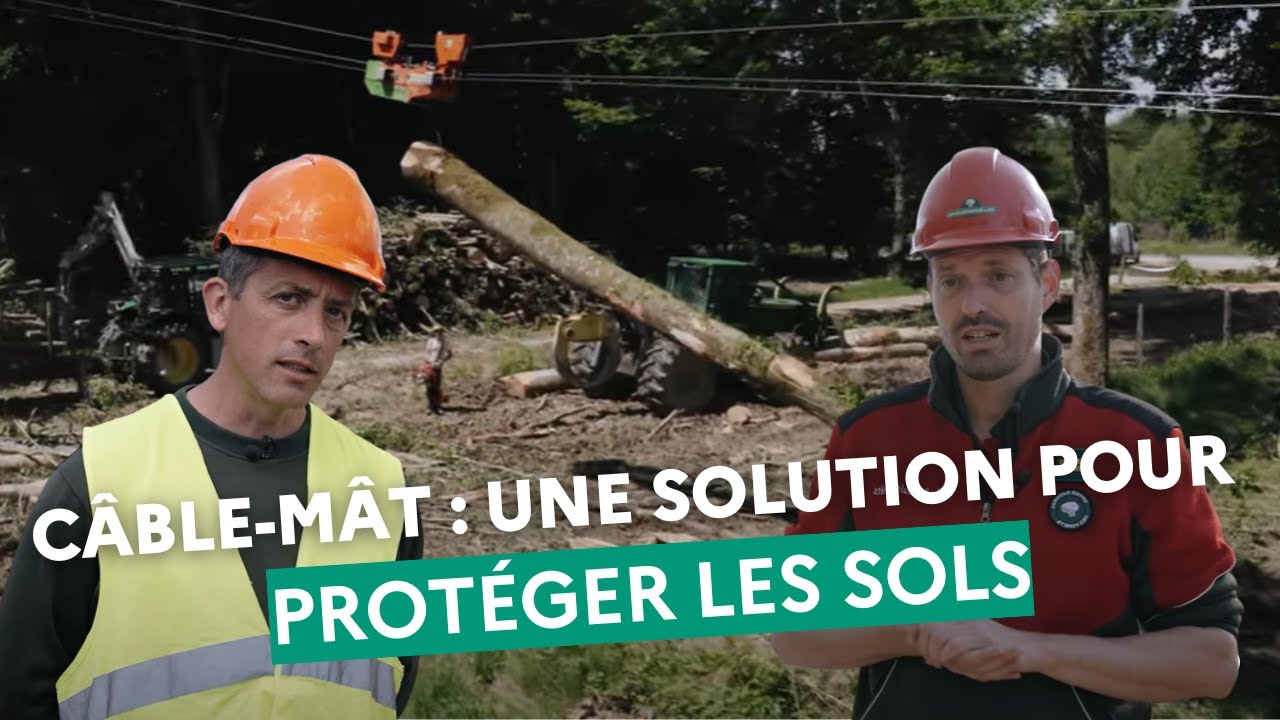 Débardage par câble : une solution innovante pour protéger les sols