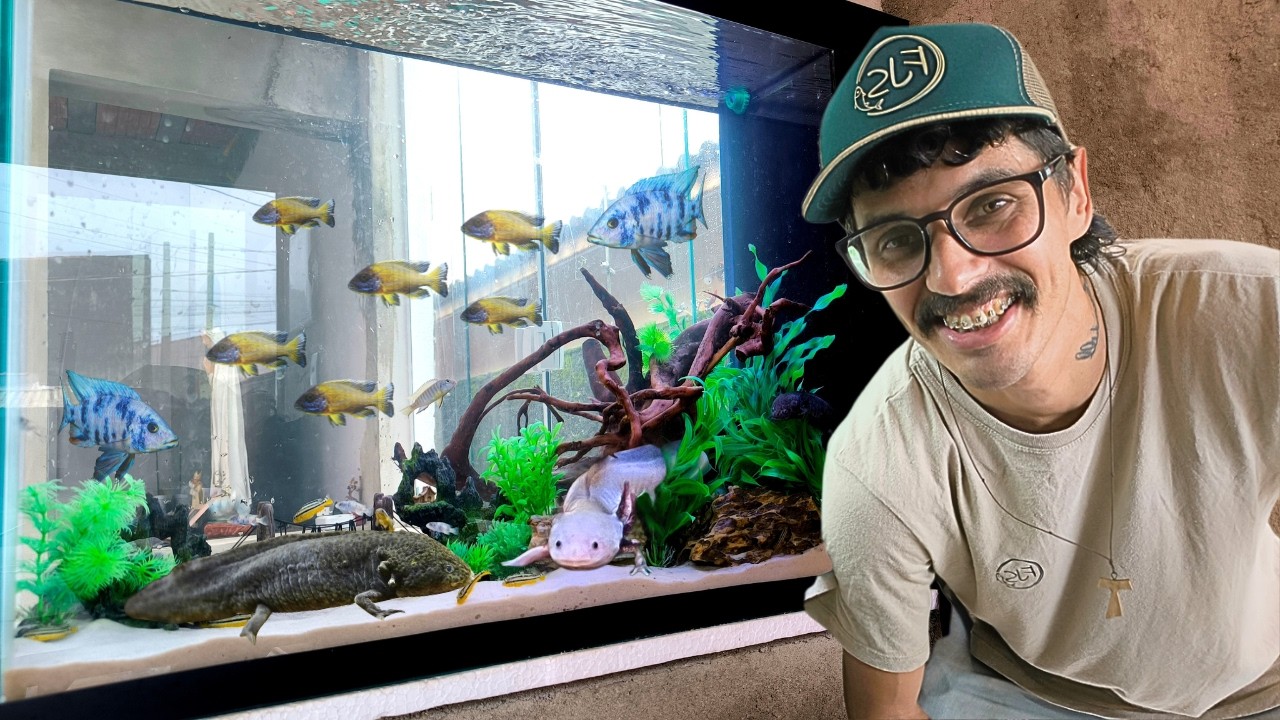 FIZ UM AQUÁRIO E COLOQUEI DEZENAS DE BEBÊS DE PEIXES