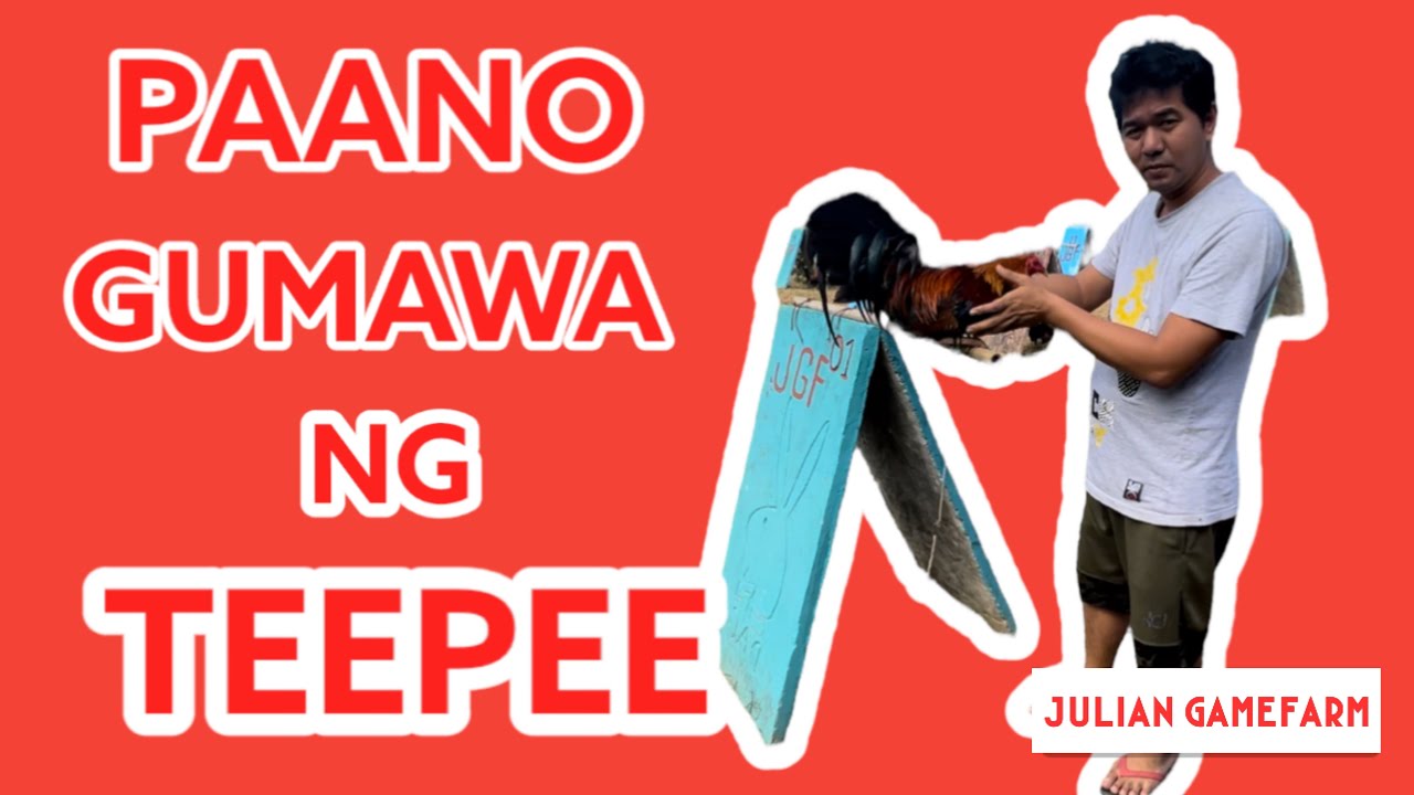PAANO GUMAWA NG TEEPEE NG MANOK @jacksonjulian9727 #teepee #teepeengmanok #manukan #breeder