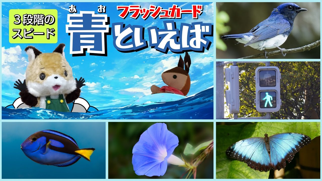 【フラッシュカード】くり返しておぼえる♪ひらがなで「青といえば」