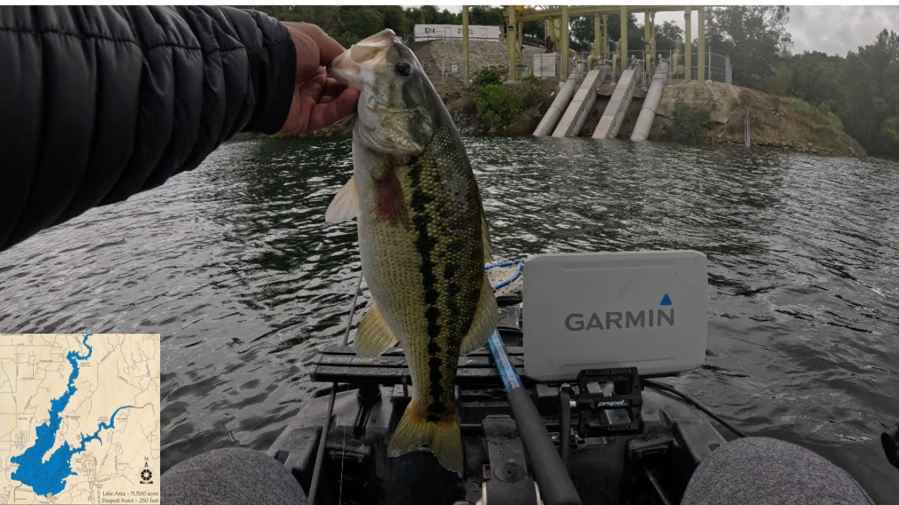 FOLSOM LAKE 50 FISH DAY BASS FISHING-MAY 2025