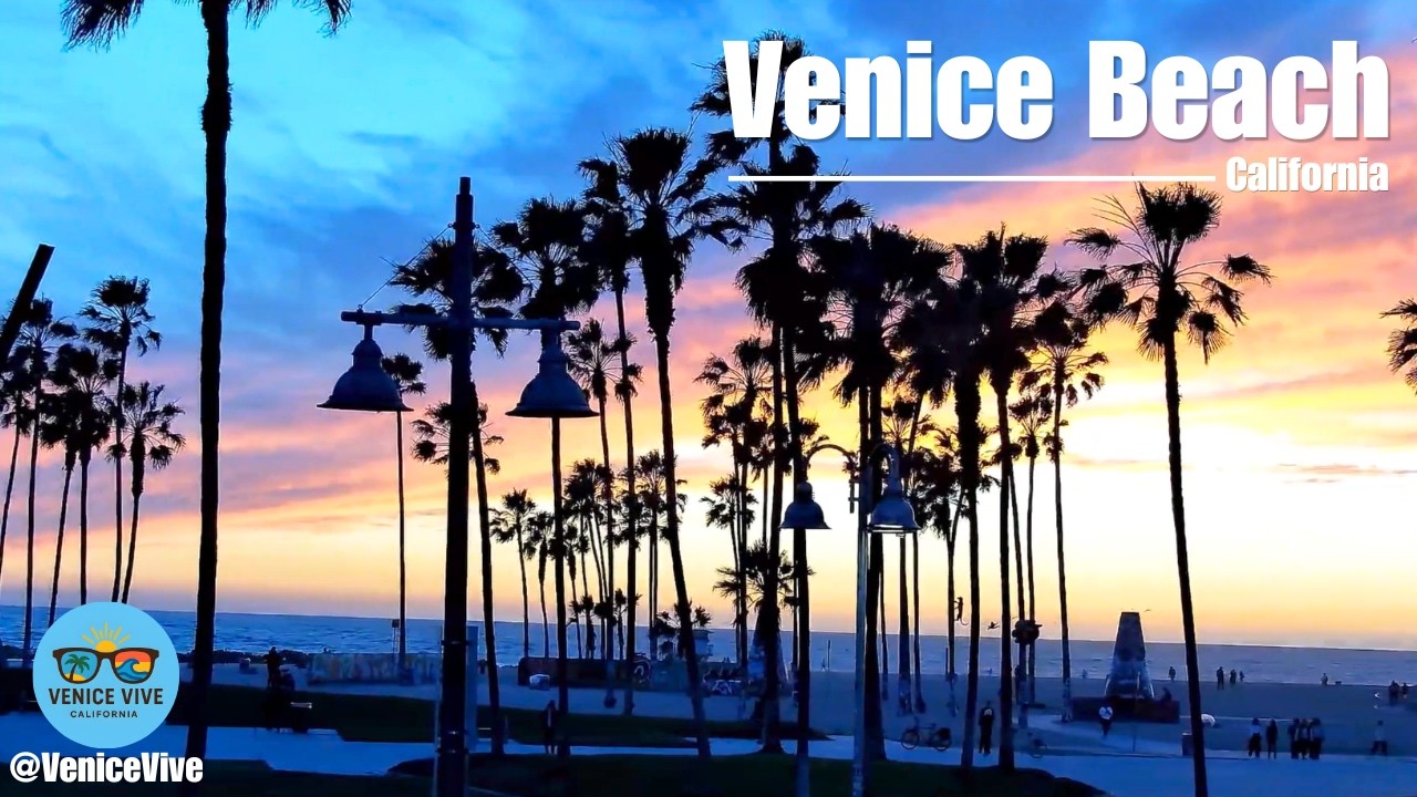 Venice Beach Sunset Glow | Relaxing LoFi Ambience 🌅 California Golden Hour