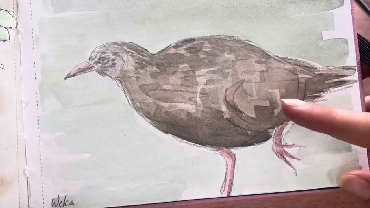 Sketchbook Tour October - November 2025
