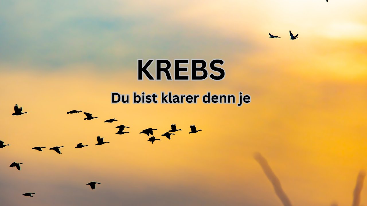 KREBS ♋️  08.09.-14.09.2025• Du bist klarer denn je