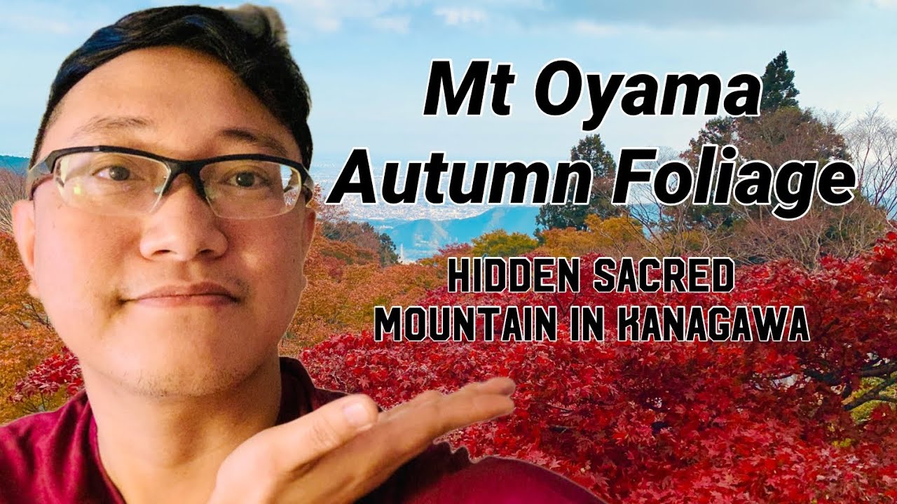 Mt. Oyama | Autumn Foliage | Hidden Sacred Mountain of Kanagawa | Autumn Leaves at Afuri Shrine