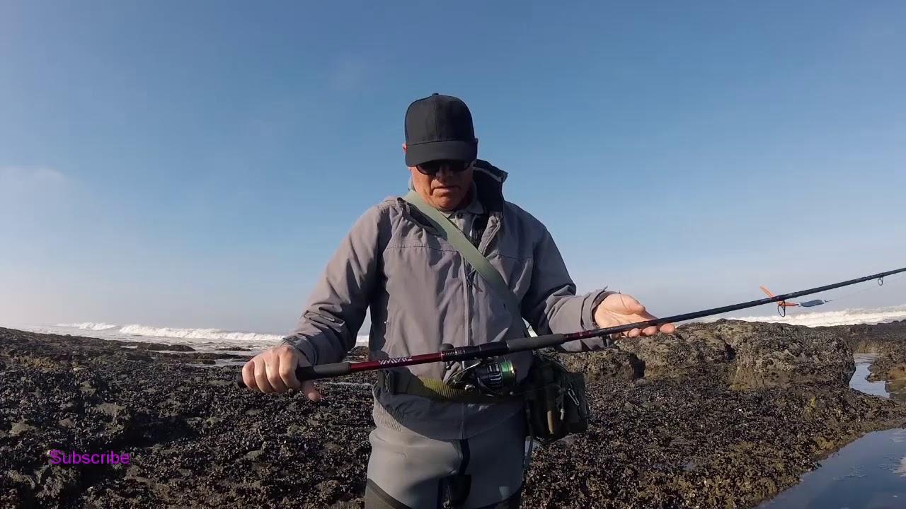 Sea Bass - Robalo de 4,200 Kgs, com zagaia + DICAS DE MATERIAL