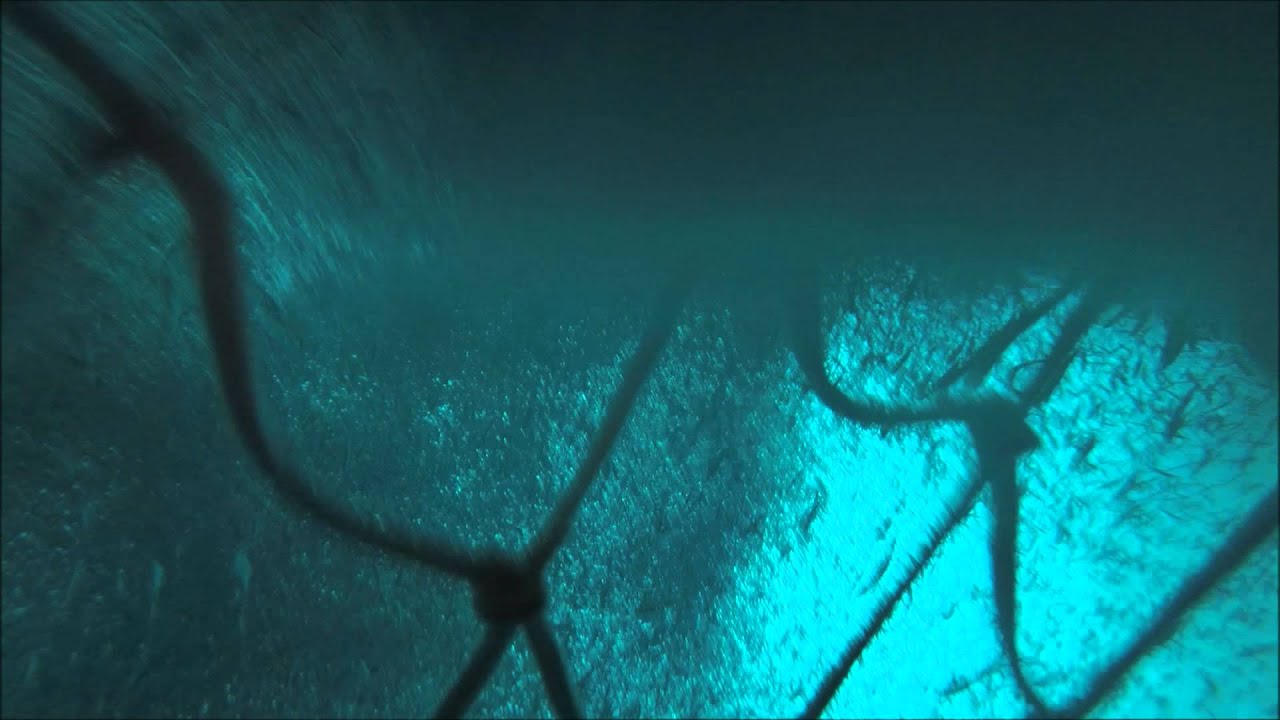 loddefiske 2014 med Gopro i Tr&aring;la