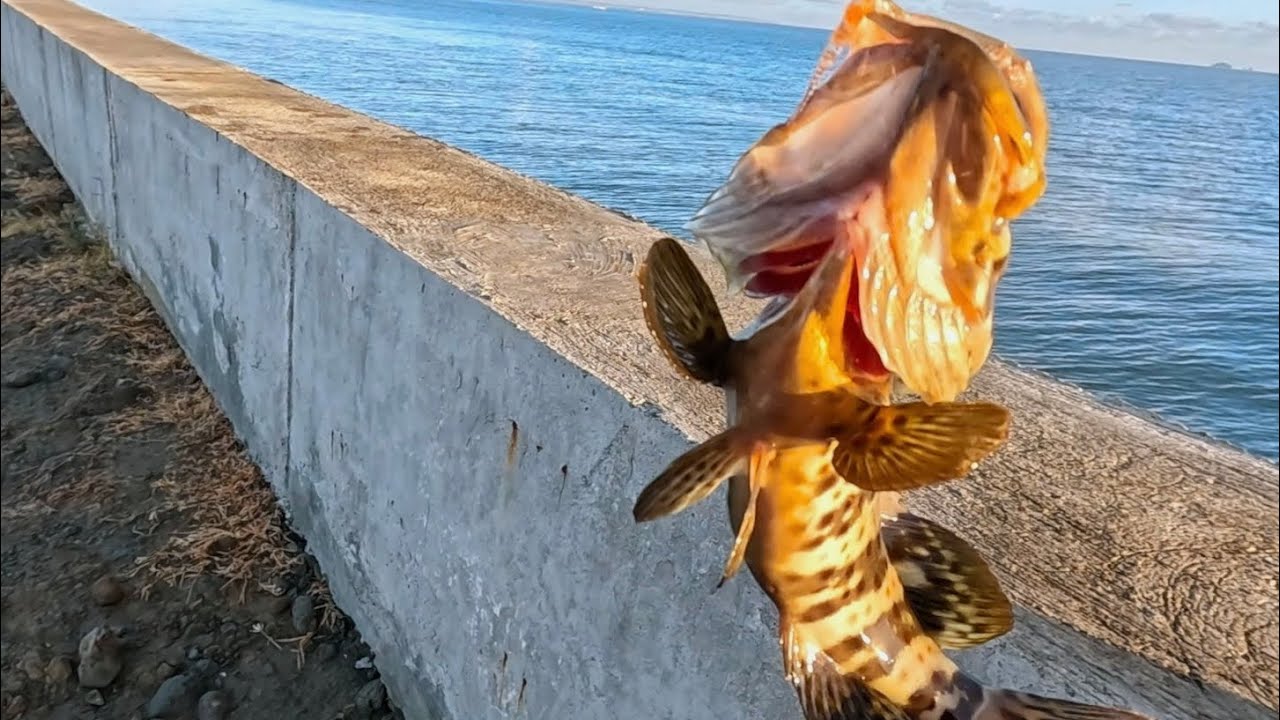 Year end fishing