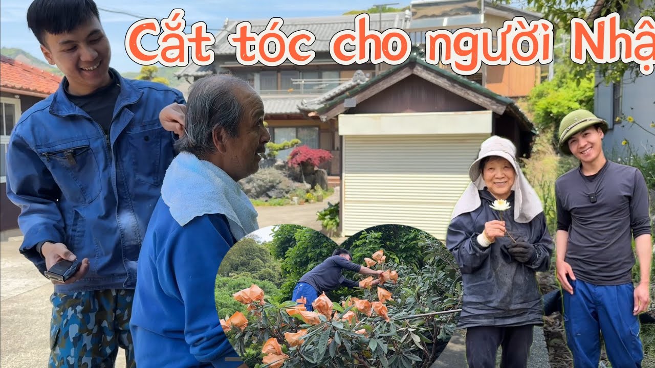 Cắt tóc cho Ông Cụ chủ vườn người Nhật, giúp Cụ Bà trùm quả Biwa tránh quạ. 1 ngày đi chơi khắp xóm.