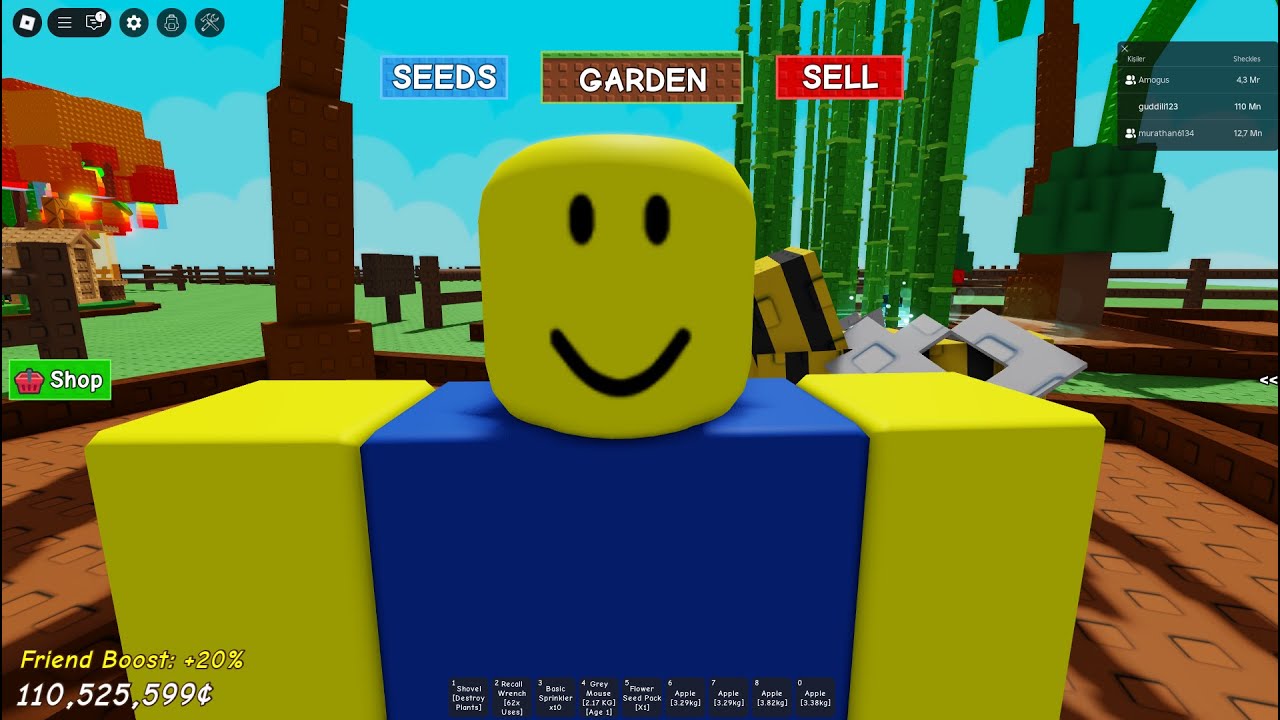 derleme