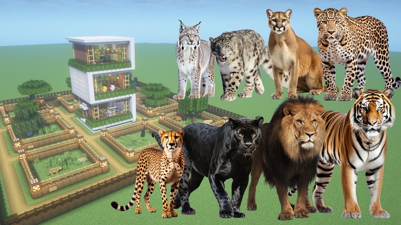 How To Make Every Wild Cat Farm in Minecraft PE