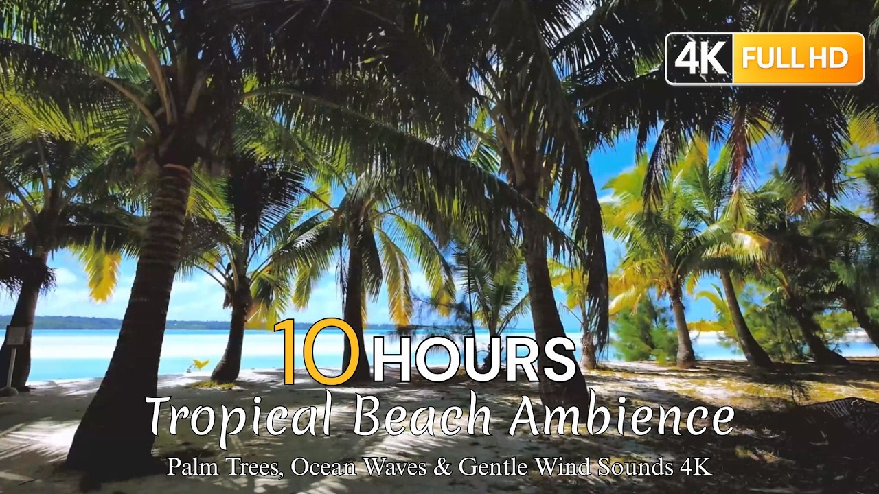 10 Hours Tropical Beach Ambience 🌴 Palm Trees, Ocean Waves & Gentle Wind Sounds 4K