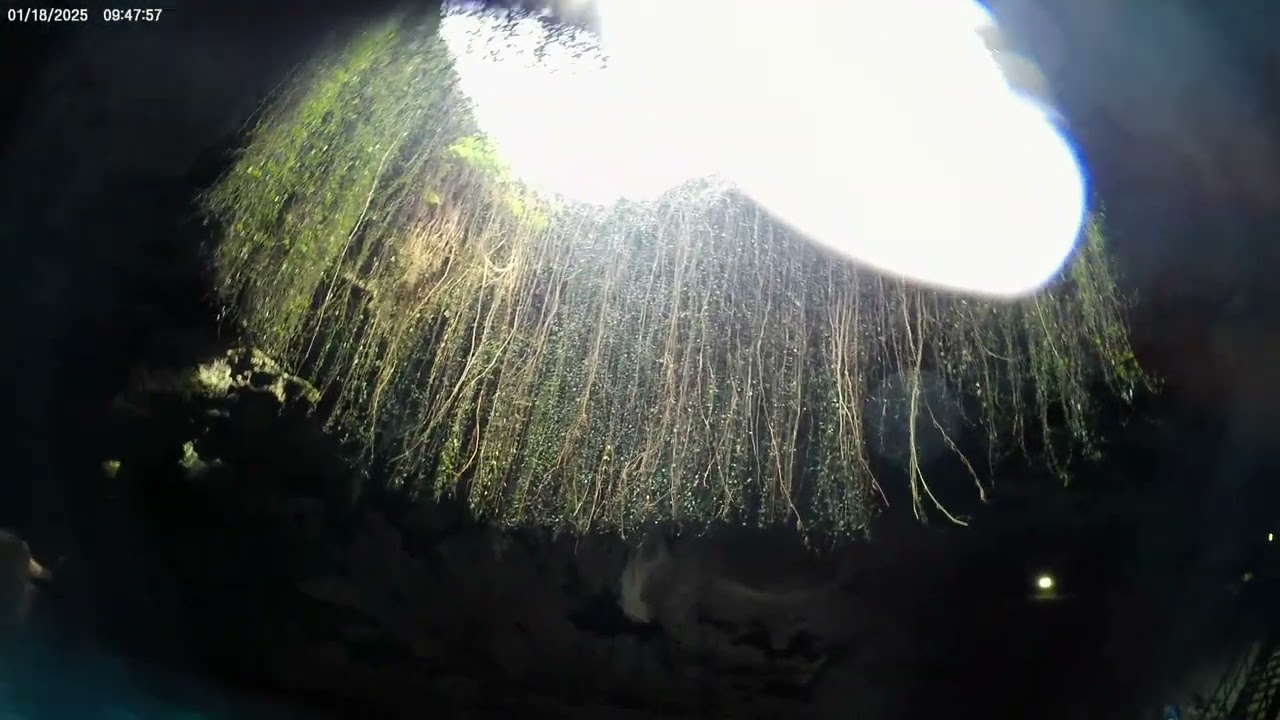 Devils Den January 2025 Snorkel