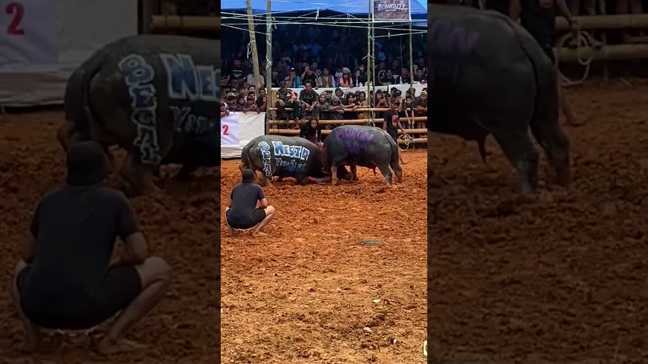 Sikki Saloso vs Buron