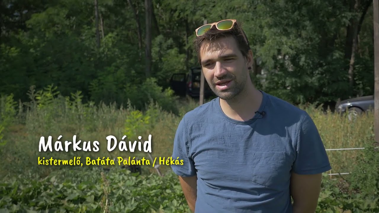 Hékás - tanyasi finomságok - A siker titka vidéken