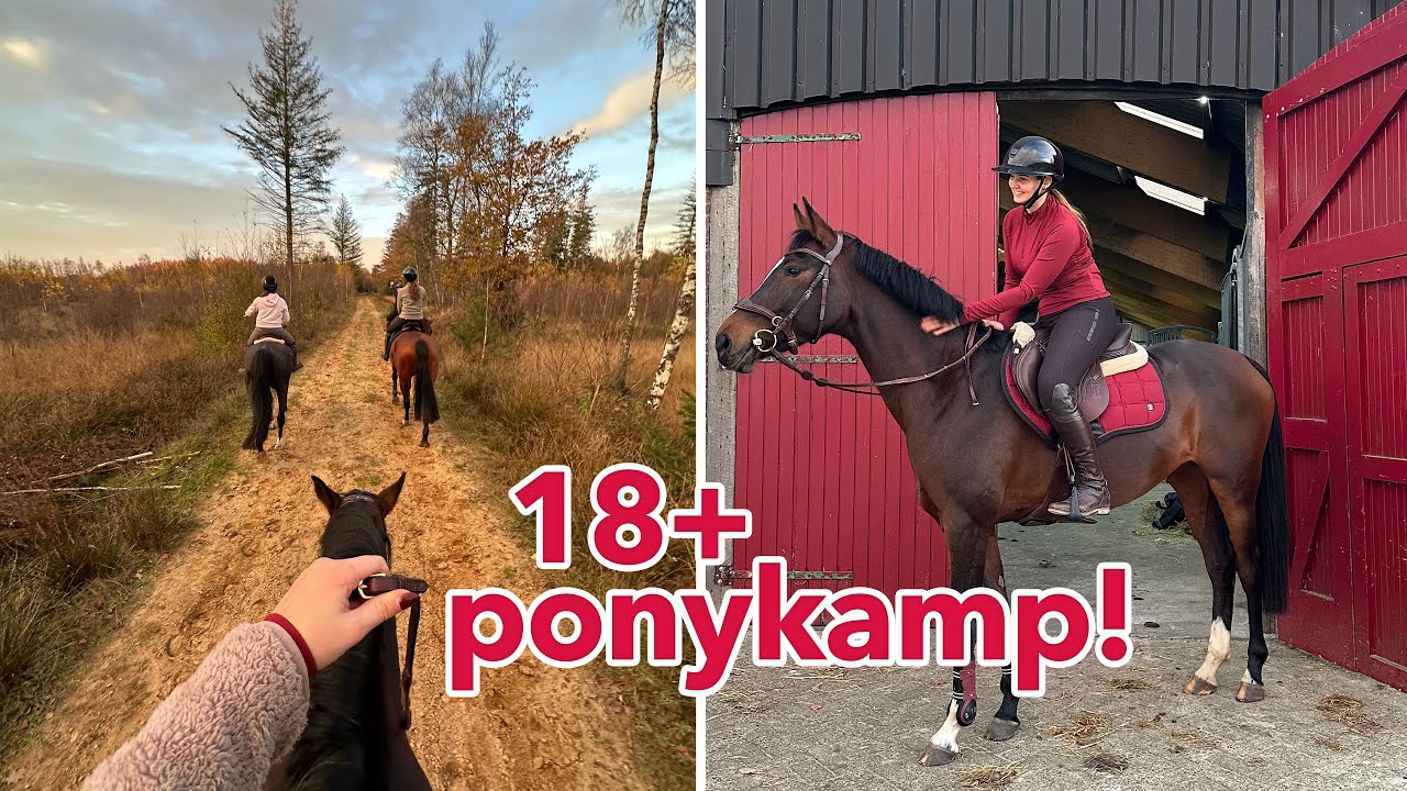 Volwassen ponykamp in Drenthe! 🏇🌲🍁|| Sannicious