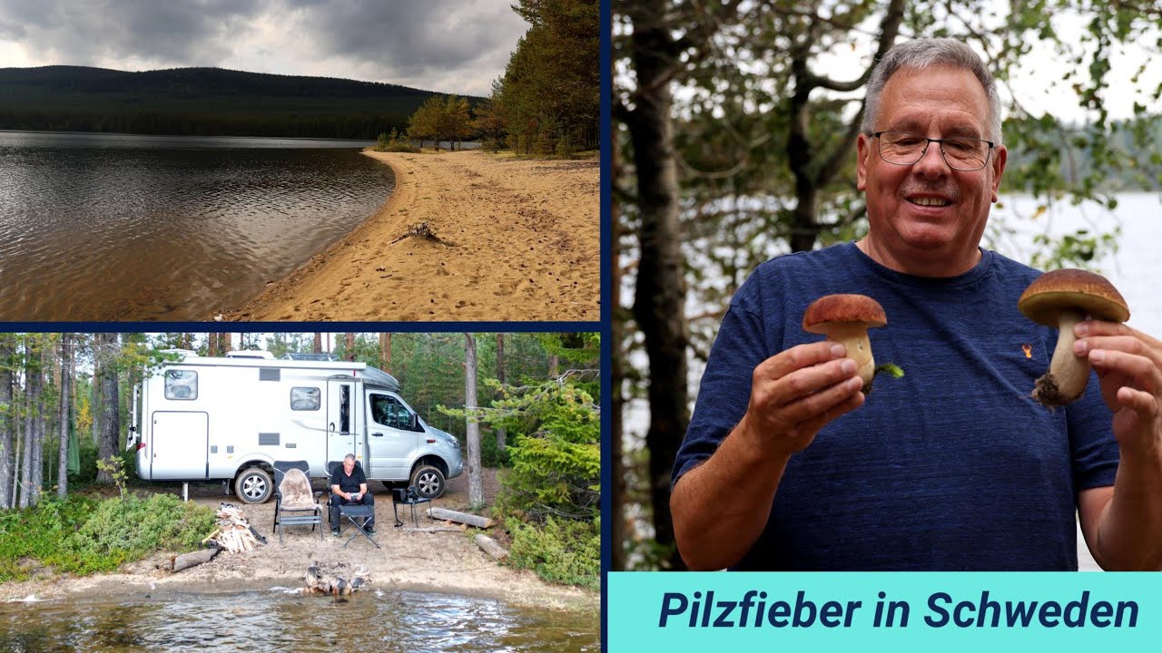 #119 Schweden im Herbst, einsame Wohnmobilstellplätze/Pilze im Überfluss/Lagerfeuer, 2025 September 