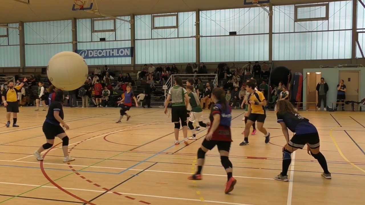 LN Kin-Ball - 08-02-2026 - D1F : Rennes 1F - Nantes 2F - PDC 1F