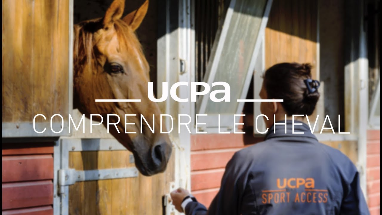Tutos &eacute;quitation #1 - Comprendre et aborder son cheval