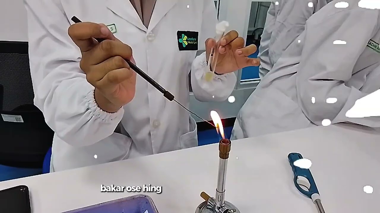 Praktikum Mikrobiologi: Pengamatan Alat Gerak Bakteri Escherichia coli (Flagel) – Kelompok 12