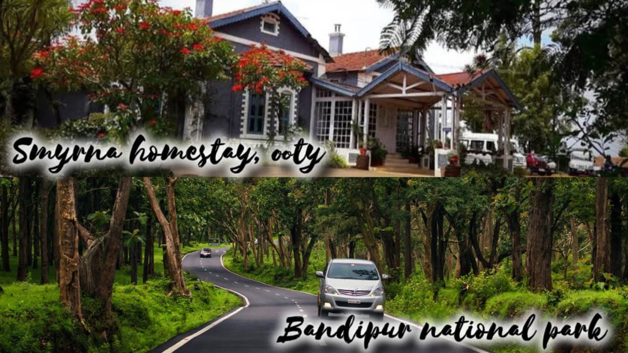 Ooty, Bandipur National Park, Home Stay, Villa