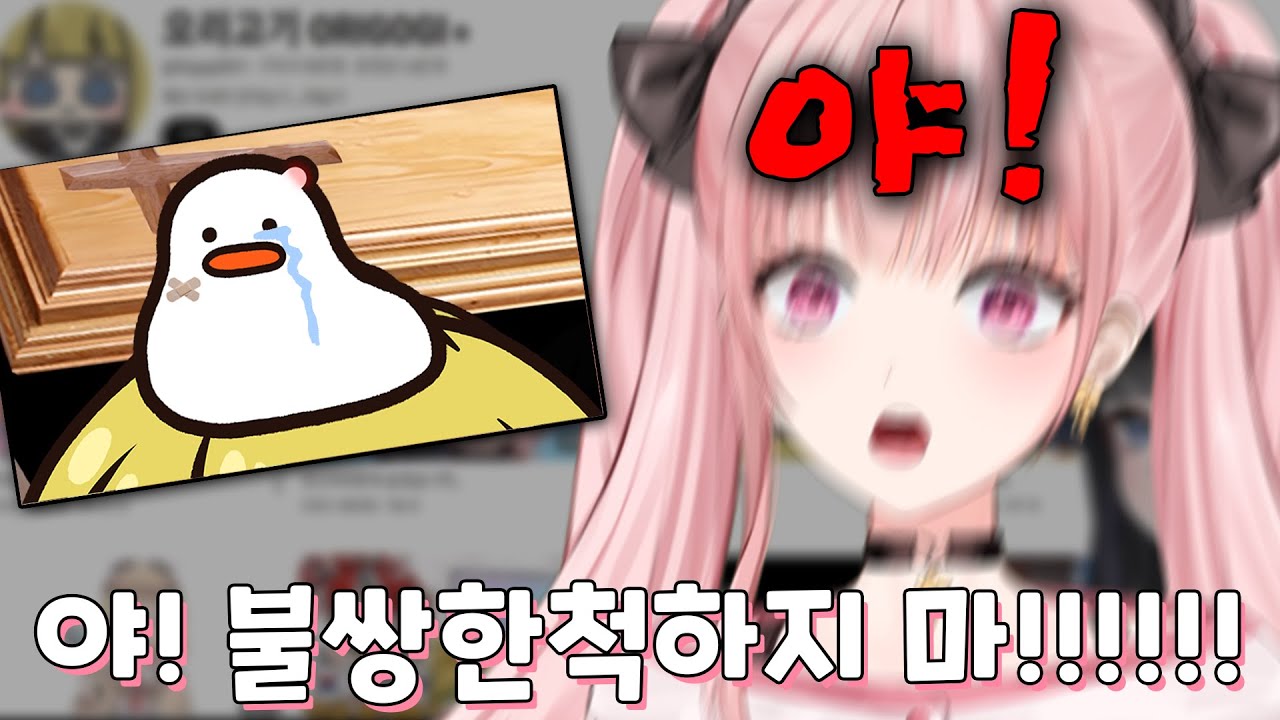 오리고기 영상을 본 허니츄러스