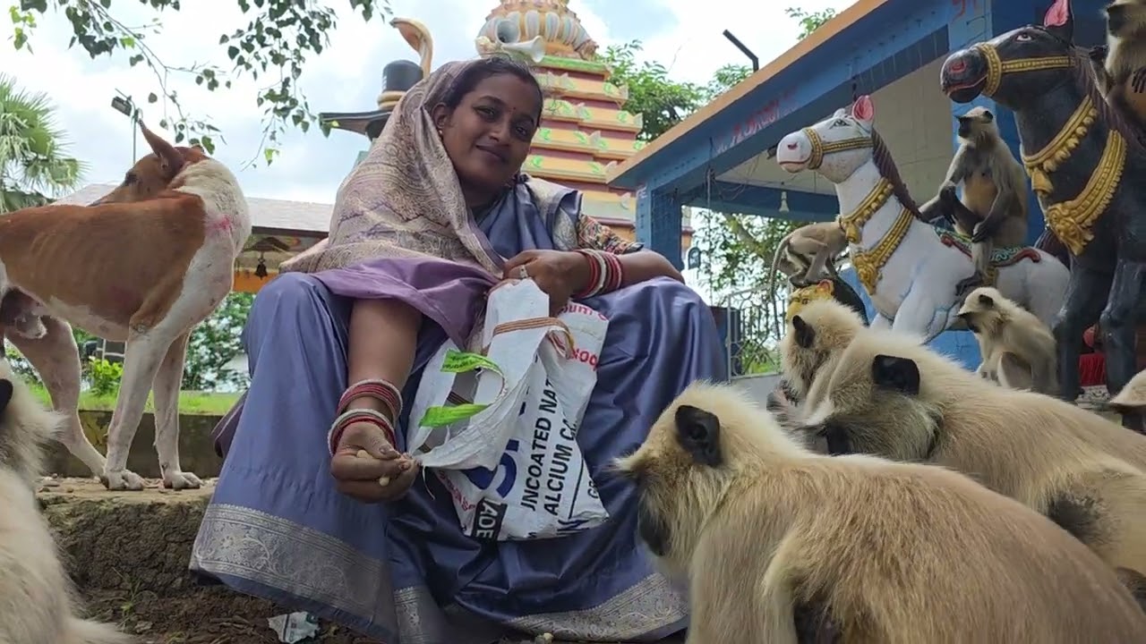 Monalisa and her langoor service.