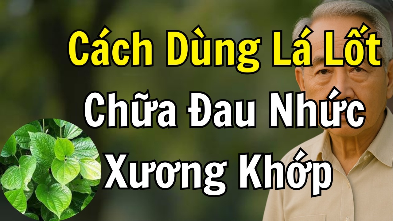 Lá lốt – Bài thuốc vàng Chữa Đau Nhức Xương Khớp - Sự Thật ít Ai Biết