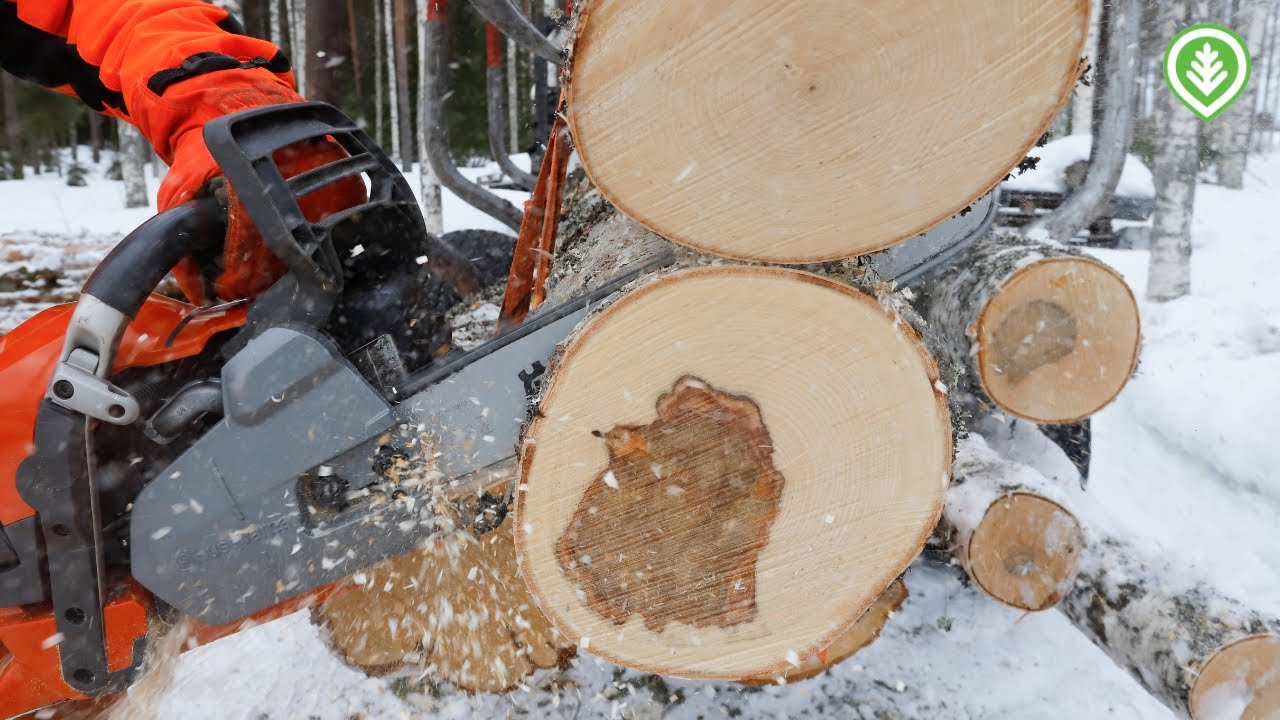 Miten Husqvarnan talttahammas X-Cut C35 puree puuhun? | Metsälehti
