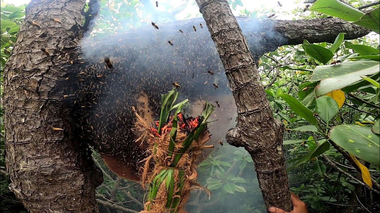 part#02. Nagtityaga sila kahit delikadong hanap buhay at mapanganib