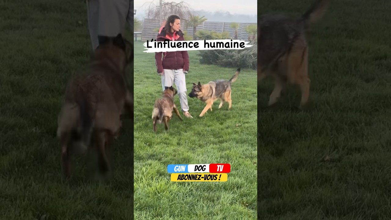 ATTAQU&Eacute; SUBITEMENT