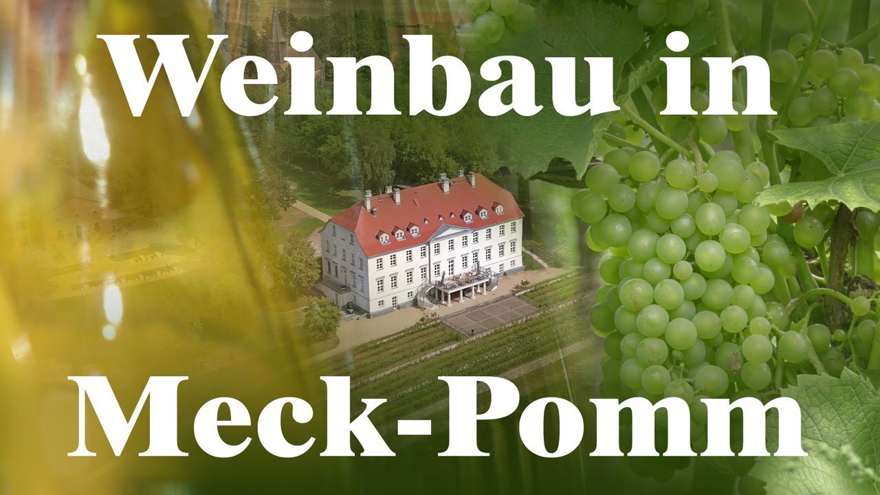 Saisonstart auf Weingut Schloss Rattey