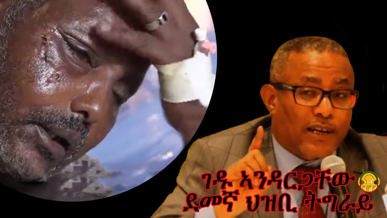 Gedu Andargachew blames Tigrai for his sinister plans and wicked actions