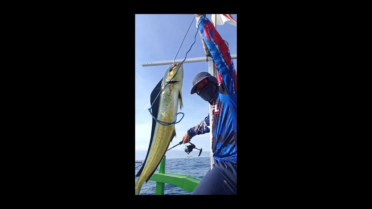 reaksi pertama kalinya saya mancing tompek lemadang atao mahi mahi - sudat pancing