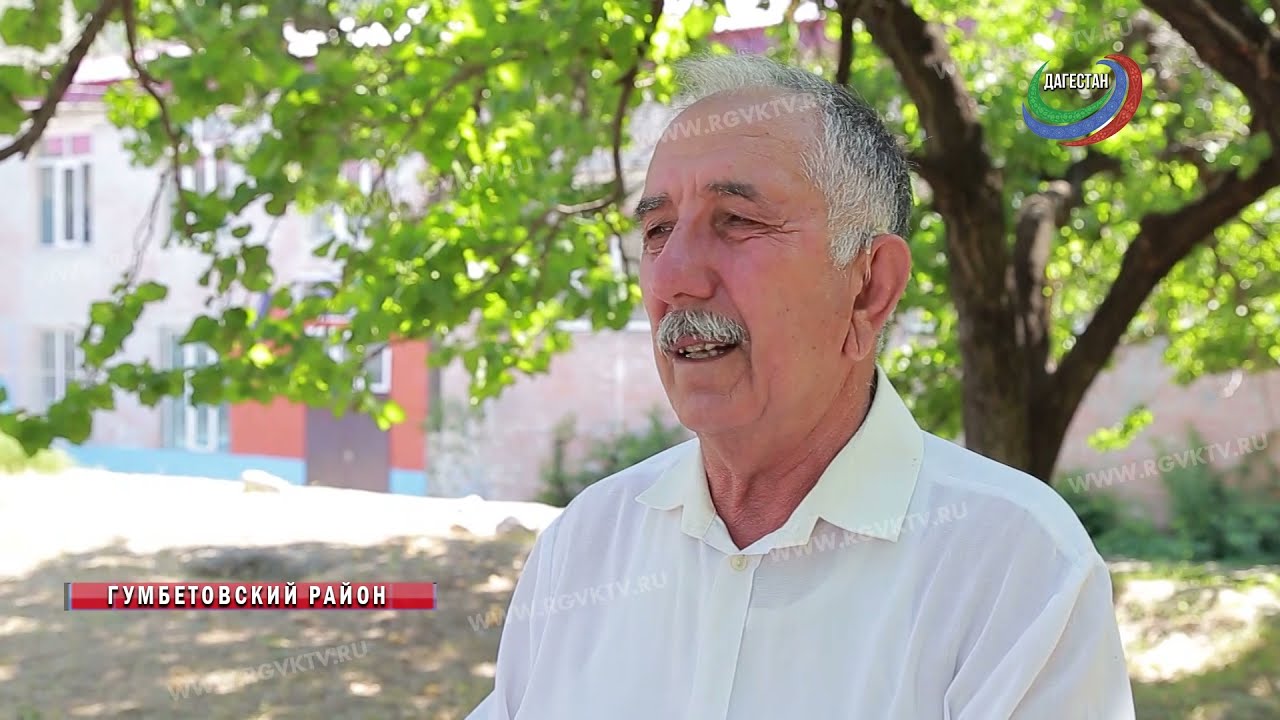 Абрикосы.  Урожай не уродился