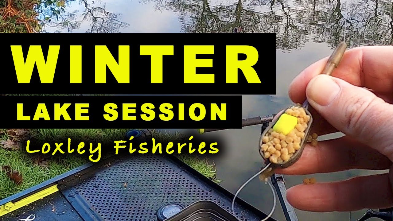 WINTER Lake Session - CARP on NEW BAITS Match Feeder Fishing