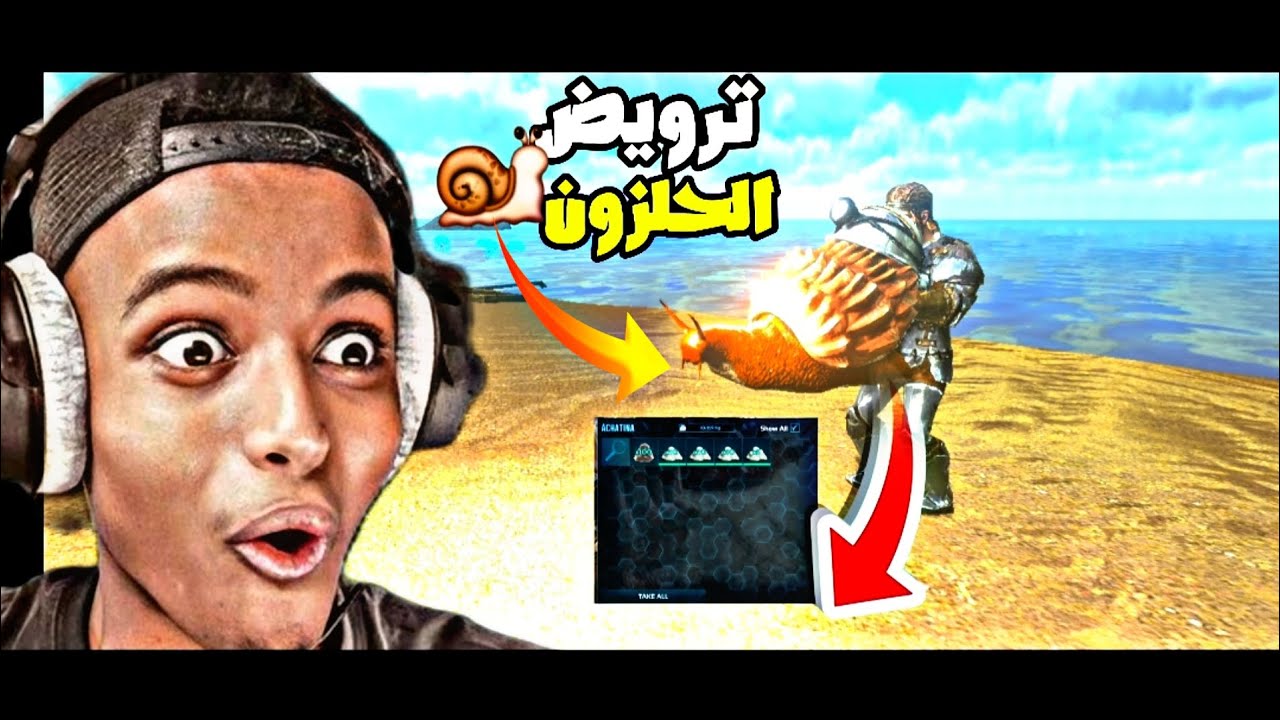 أرك『ترويض الحلزون 🐌 
