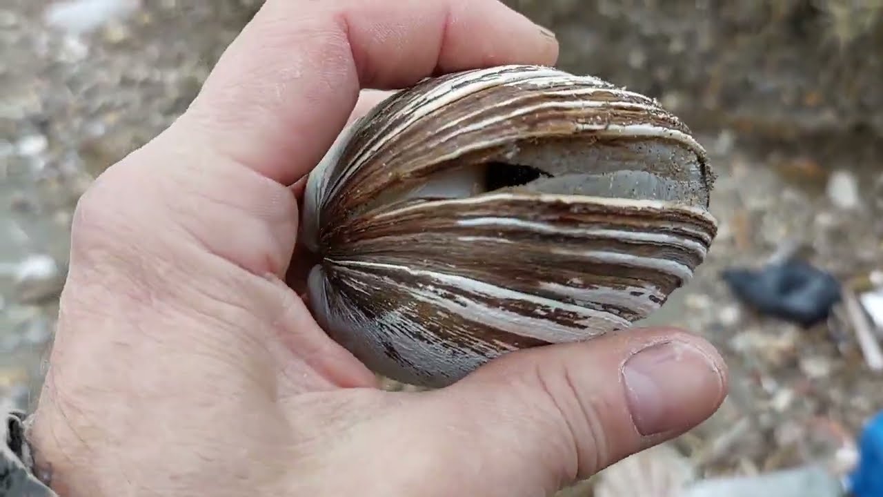 На рыбалку с металлоискателем. (2 часть) Берег моря, склоны, водопады, станы.