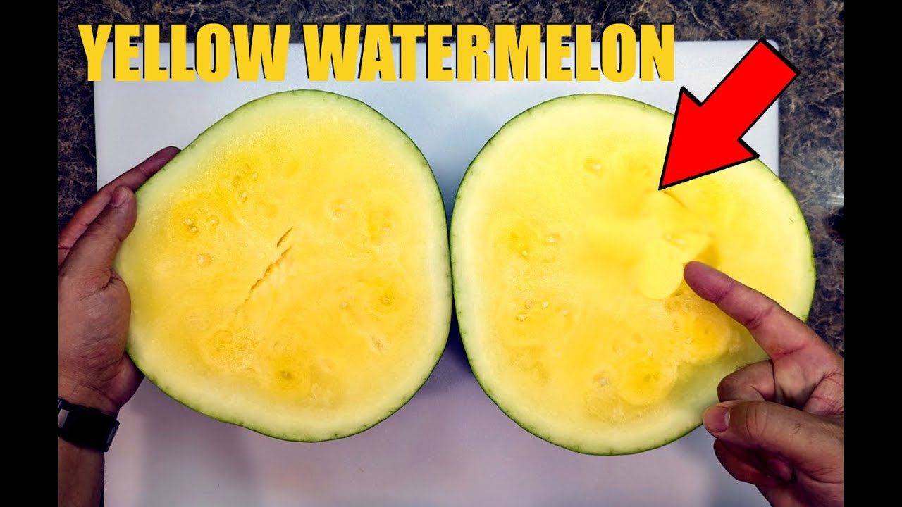 This is what a yellow watermelon tastes like! | Patilla sandia amarilla |