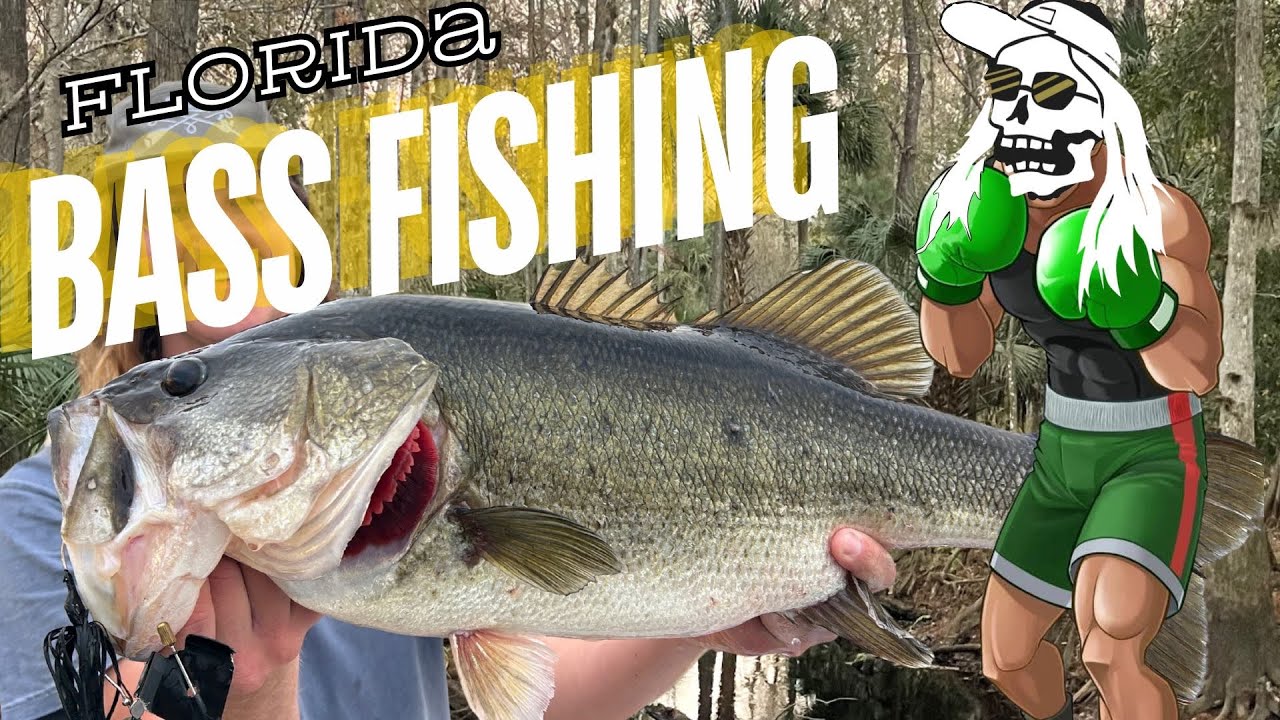 Florida Bass Fishing - PUNCH! PUNCH! PUNCH!