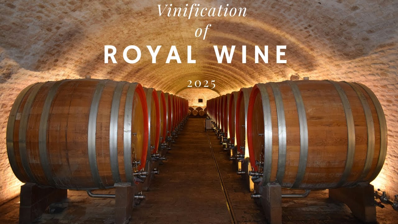 Vinification of Royal Wine