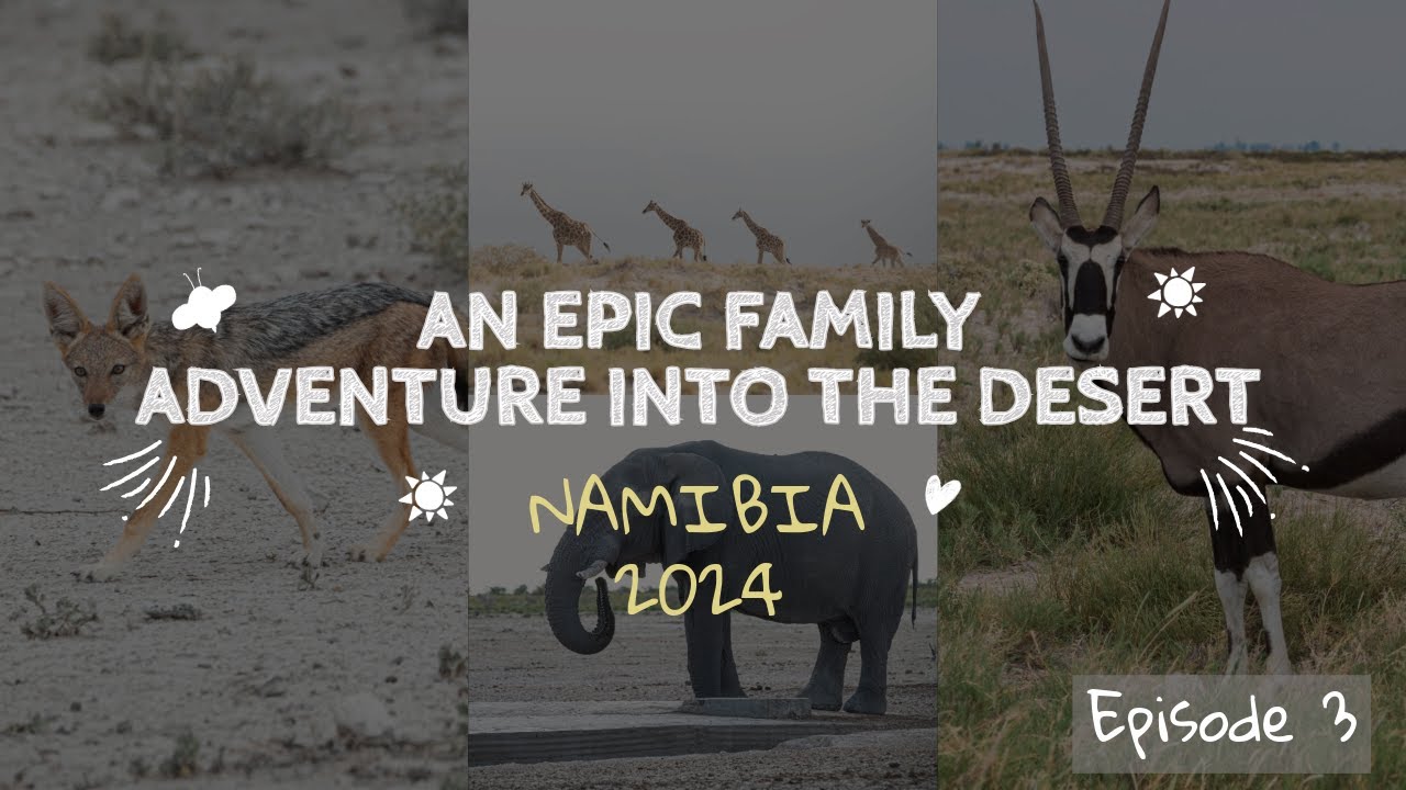 Lions at the Waterhole! | Okaukuejo Camp, Etosha National Park (Episode 3)