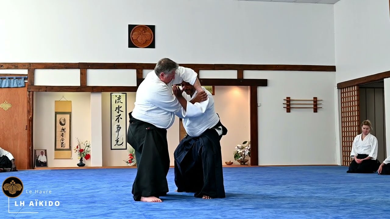 Aïkido : Mare Seye Shihan 6ème dan au Dojo VDB 3/3 : Aïkido (17 Mai 2025, 3ème partie)